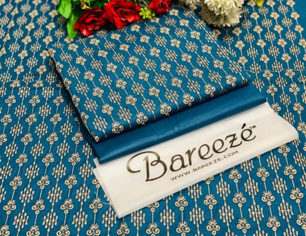 EMBROIDERY LUXURY COTTON LAWN 2PC Collection (BAREEZE LAWN 2025 OPENING)